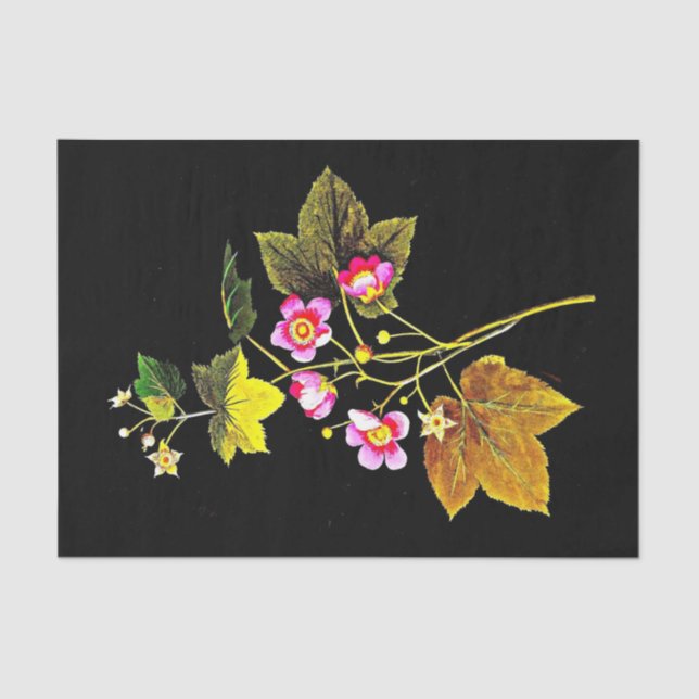 Papel de desconexión 10"x15" - Mary Delany 2 (Anverso)