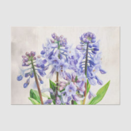 Papel de desconexión BLUEBELLS