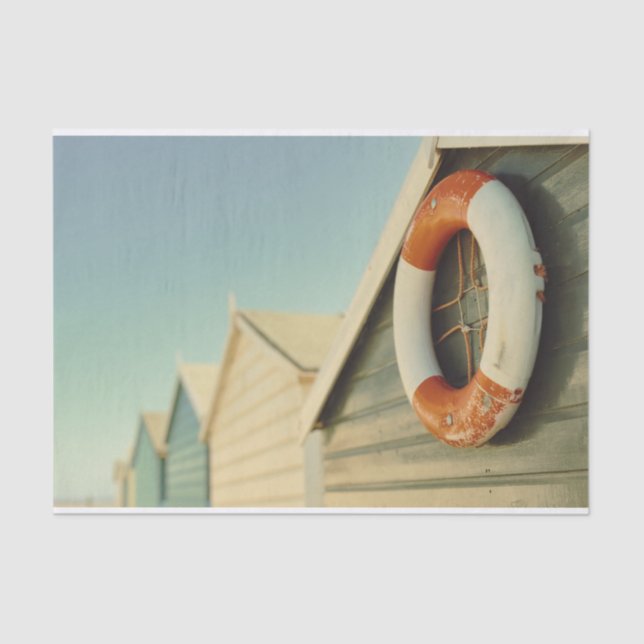 Papel de desconexión de castor de vida náutico de  (Anverso)