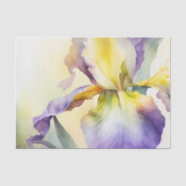 Papel de desconexión de IRIS