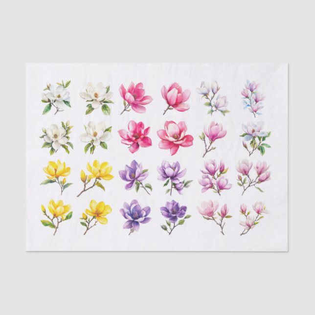 Papel de desconexión de la gama Magnolia (Anverso)