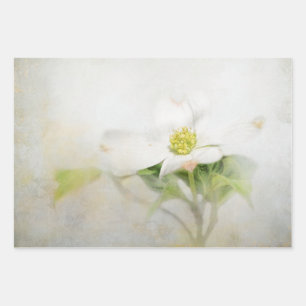 Papel de deshielo de Dogwood Floral Art