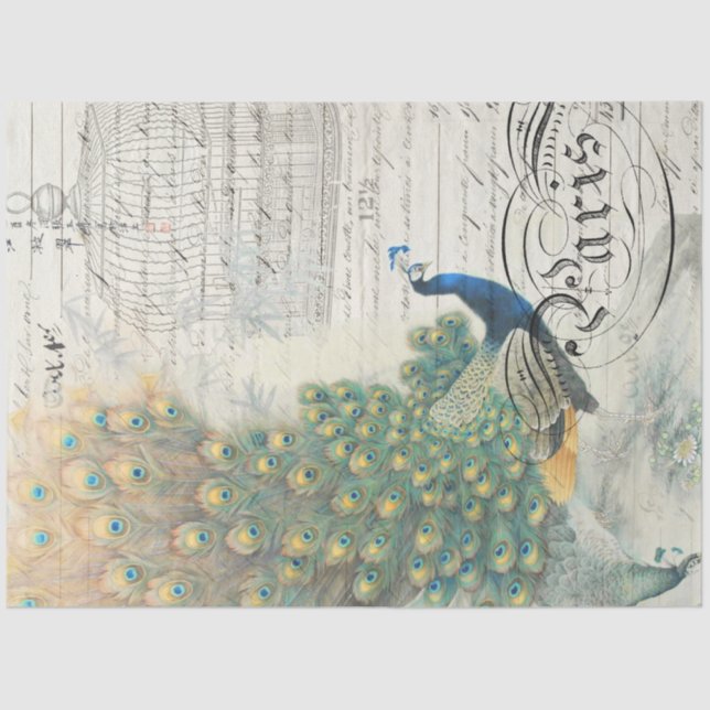 Papel de deshielo de Ephemera de pavo real (Anverso)