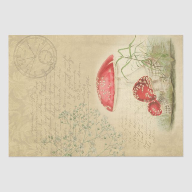 Papel de deshielo de hongos vintage - Marple Hall (Anverso)