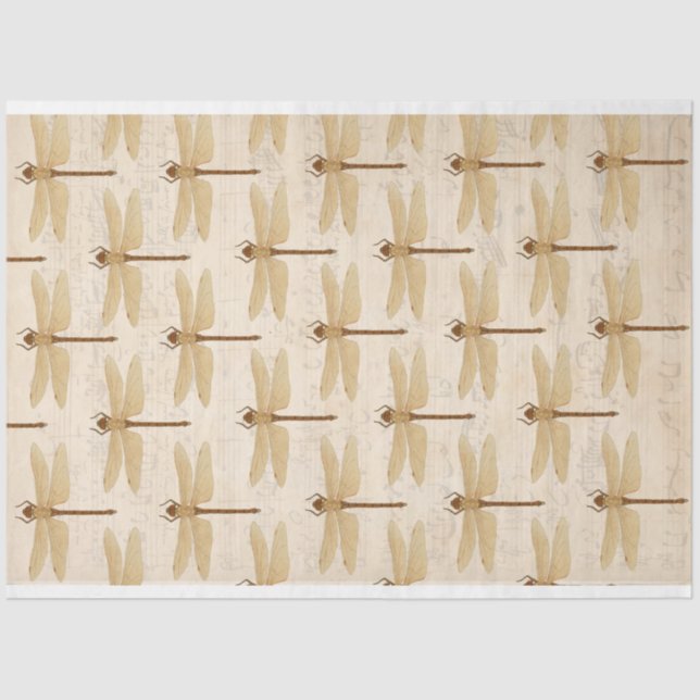 Papel de deshielo del mobiliario de la libélula (Anverso)