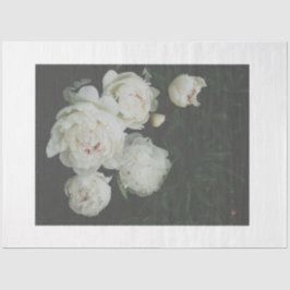 Papel de desunión de las peonías blancas