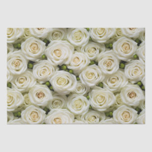 Papel de discusión para Rosas de marfil