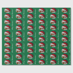 Papel de embalaje arrogante del navidad de