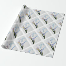 PAPEL DE EMBALAJE BLANCO DE LAS CALAS