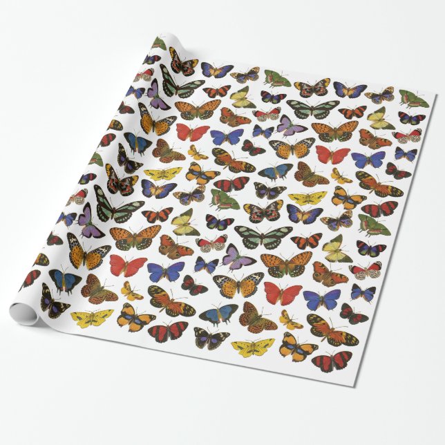 Papel de embalaje de la mariposa (Desenrollado)