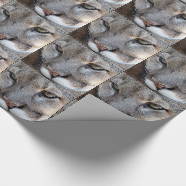Papel de embalaje de la pantera de la Florida (Esquina)