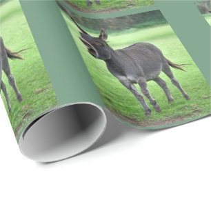 Papel de embalaje de la risa del burro