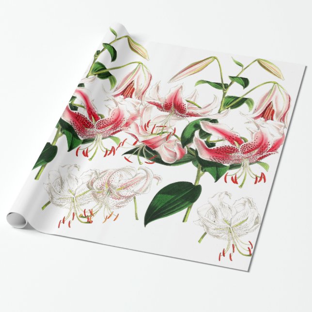 Papel de embalaje de las flores del lirio (Desenrollado)