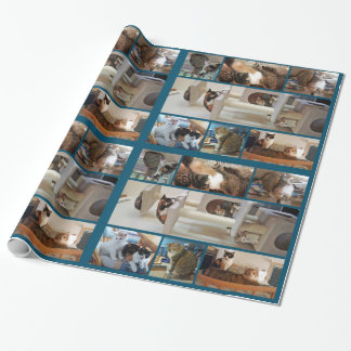Papel de embalaje de los gatos