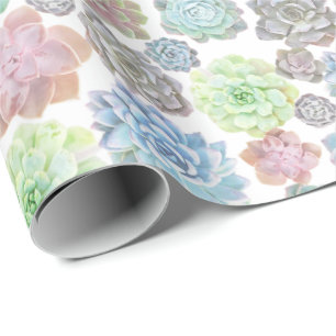 Papel de embalaje de los Succulents