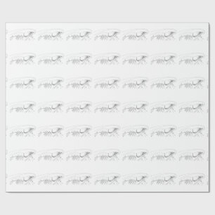 Papel de embalaje del camarón