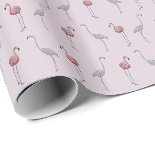 Papel de embalaje del frenesí del flamenco (rosa (Esquina del rollo)