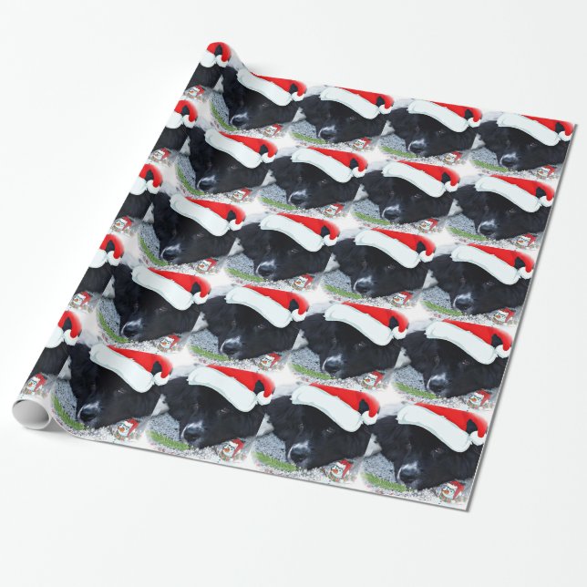 Papel de embalaje del navidad de Terranova de la (Desenrollado)