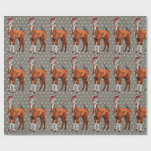 Papel de embalaje del NAVIDAD LLAMA y del PÁJARO