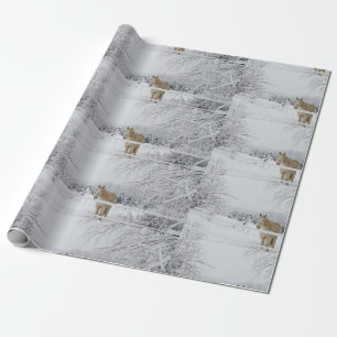 papel de embalaje del paisaje del caballo del