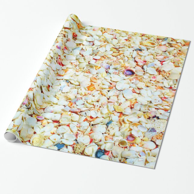 Papel de embalaje del Seashell (Desenrollado)