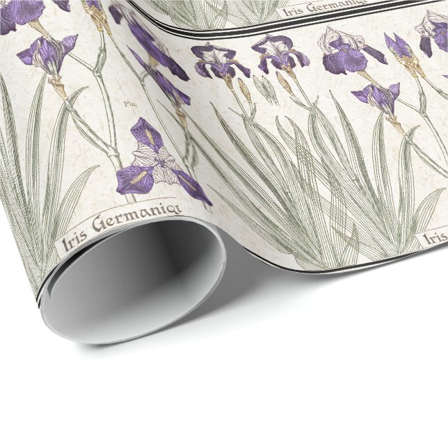 Papel de embalaje francés de las flores del iris (Esquina del rollo)