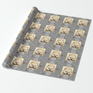 Papel de embalaje gris del perrito de Pomeranian