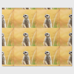 Papel de embalaje lindo de Meerkat