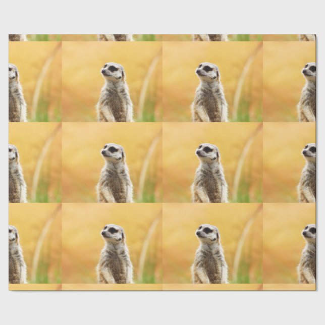 Papel de embalaje lindo de Meerkat (Costura)
