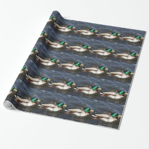Papel de embalaje masculino del pato del pato