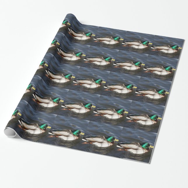 Papel de embalaje masculino del pato del pato (Desenrollado)