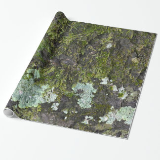 Papel de embalaje real de Camo de la fotografía