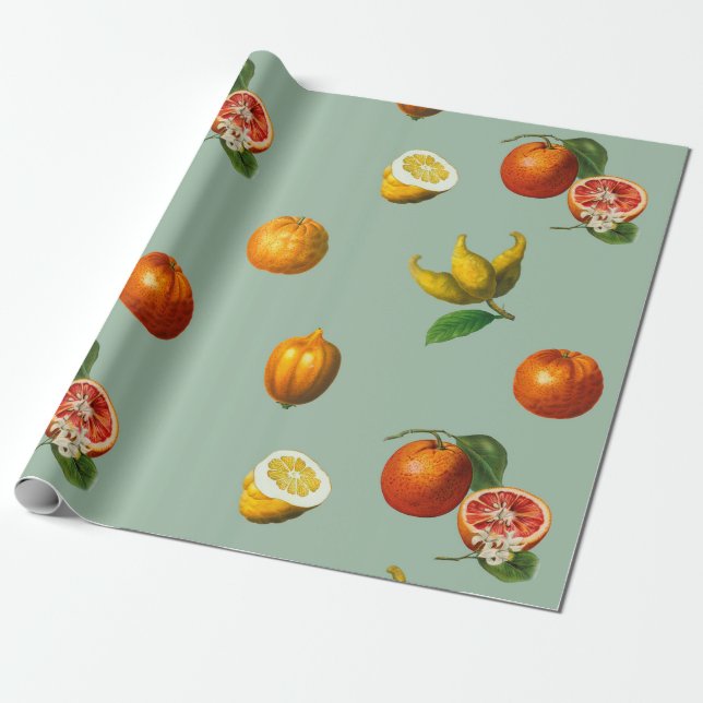 Papel de envoltura botánica de cítricos de época (Desenrollado)