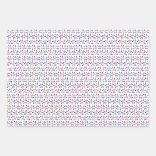 Papel de envoltura de EE.UU.