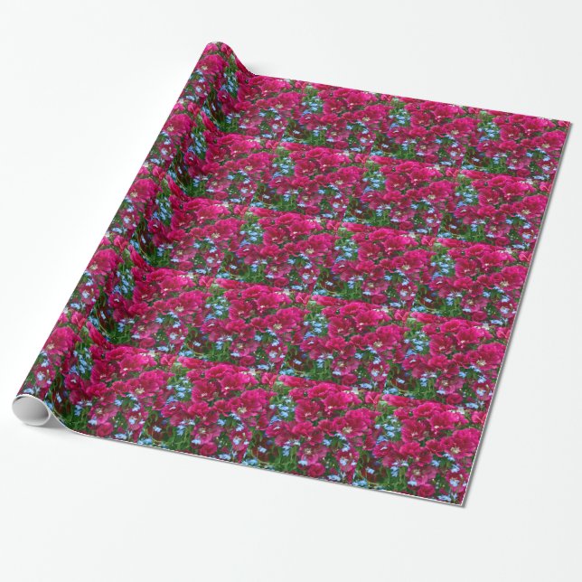Papel De Envoltura De Godetia Y Lobelia (Desenrollado)