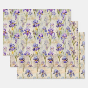 Papel de envoltura de Iris