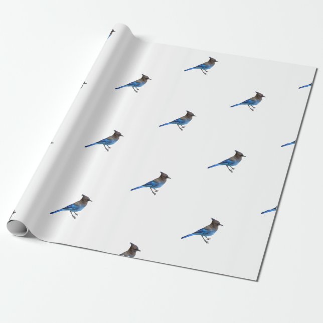 papel de envoltura de mandíbula azul estelar (Desenrollado)