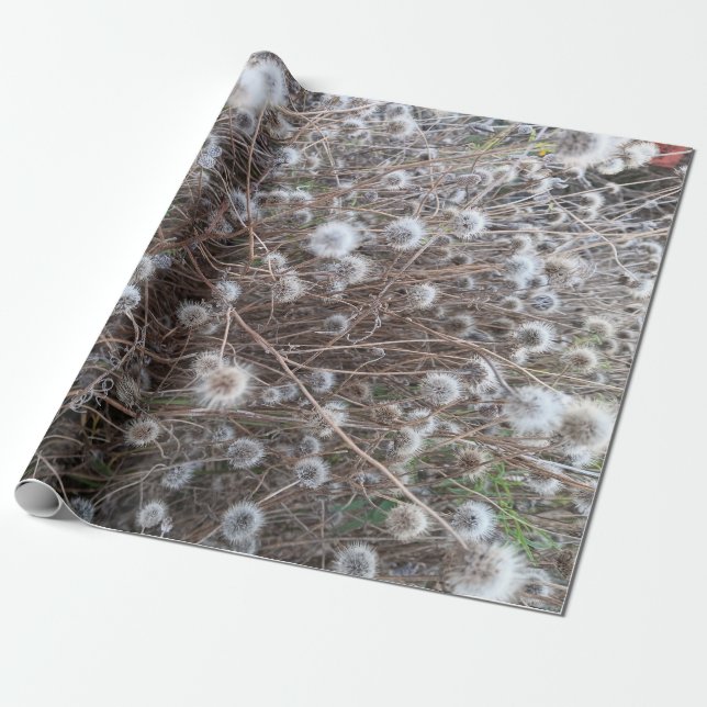 papel de envoltura de motivos florales (Desenrollado)