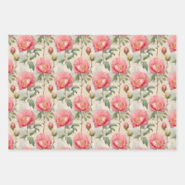 Papel de envoltura de pioneros