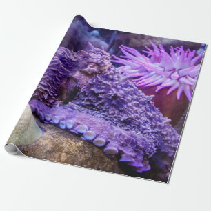 Papel de envoltura de pulpo púrpura azul oceánico