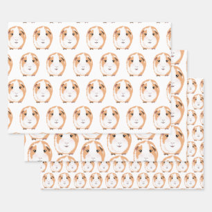 Papel de envolver de cerdo de Guinea conjunto de h