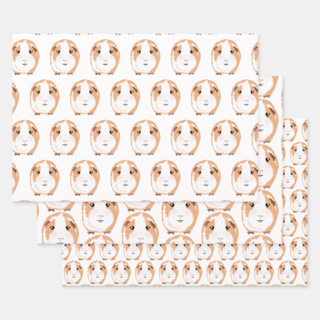 Papel de envolver de cerdo de Guinea conjunto de h (Set)