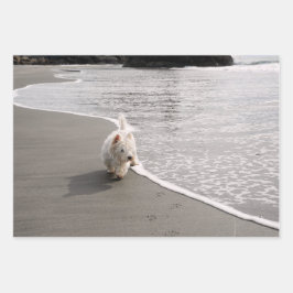 Papel de envolver de fotos de la navegación