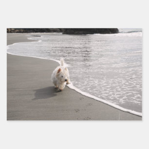 Papel de envolver de fotos de la navegación