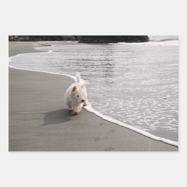 Papel de envolver de fotos de la navegación (Anverso)