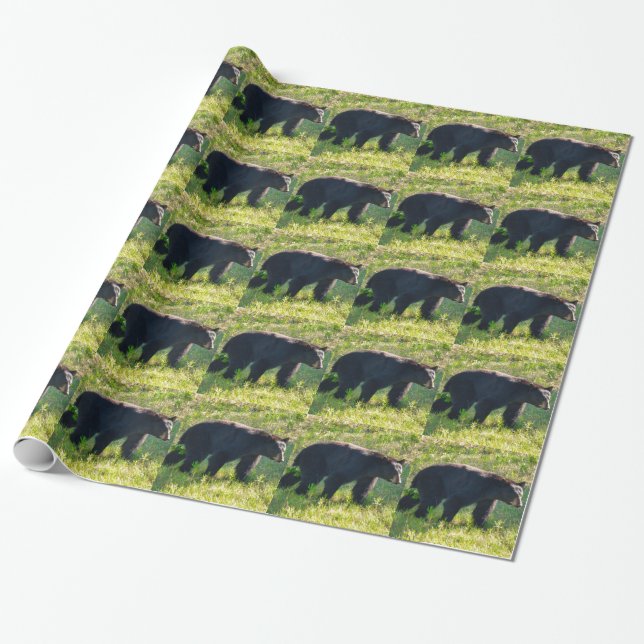 Papel de envolver de oso negro para papá (Desenrollado)