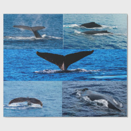 Papel de envolver de regalo de ballena jorobada