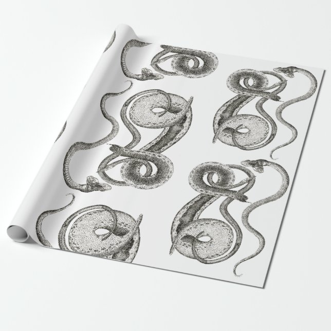 Papel de envolver de regalo para serpientes (Desenrollado)
