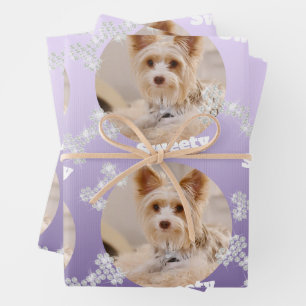 Papel de envolver Mascota brillante conjunto de ho