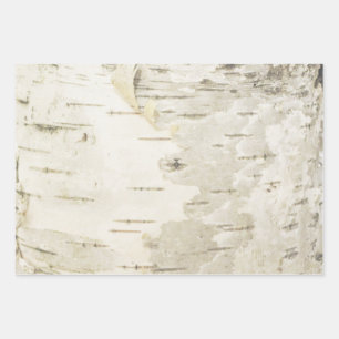 Papel de envolvimiento de Birch Naturaleza Papel d